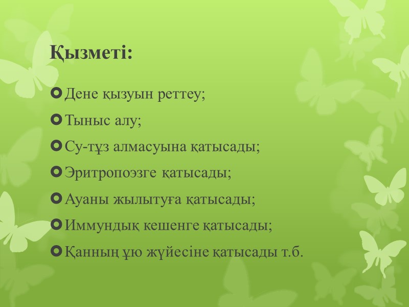 Қызметі: Дене қызуын реттеу; Тыныс алу; Су-тұз алмасуына қатысады; Эритропоэзге қатысады; Ауаны жылытуға қатысады;